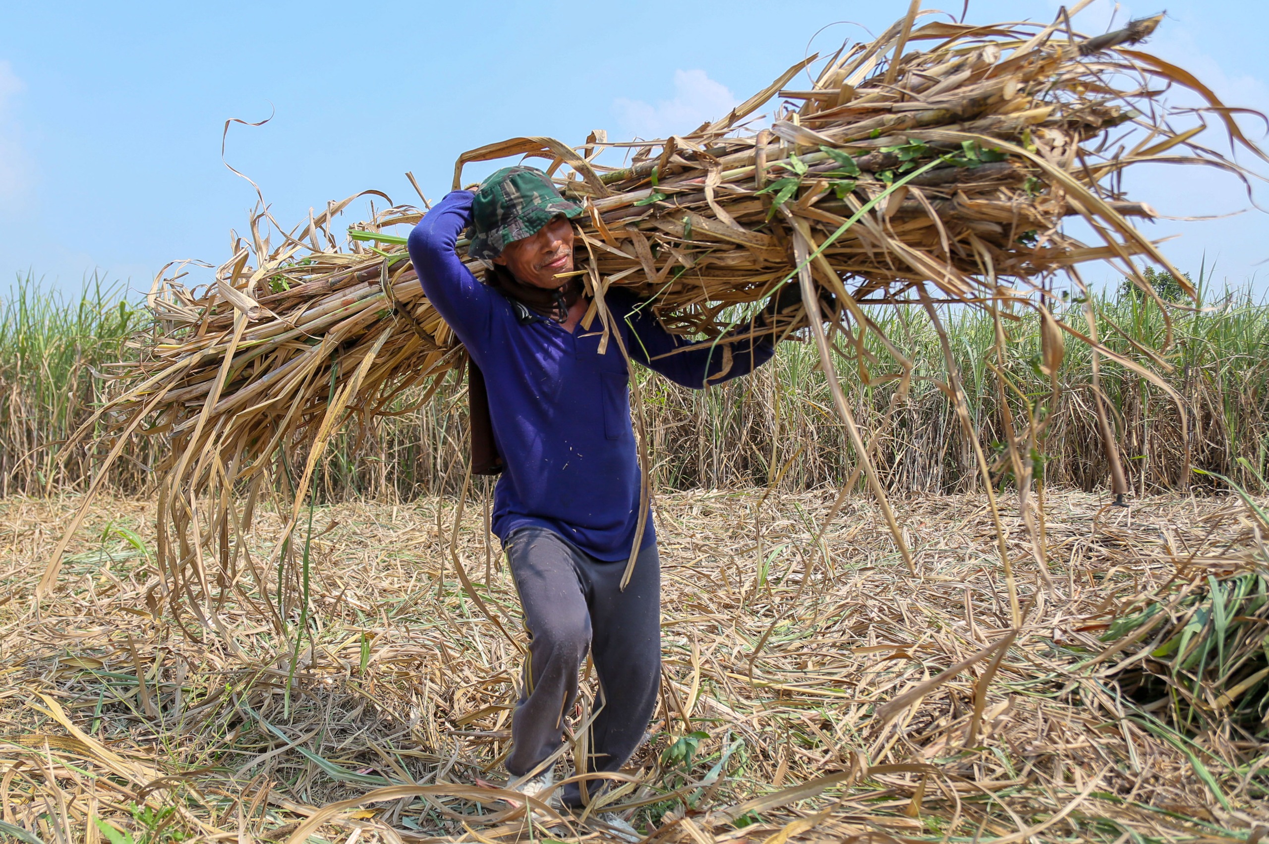 Food Self-Sufficiency: Tangible Proof of Independence
