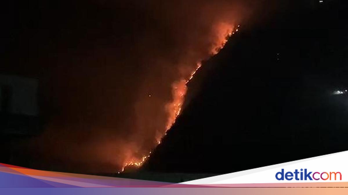 Bromo Fire Expands, 942 Hectares of Land Scorched