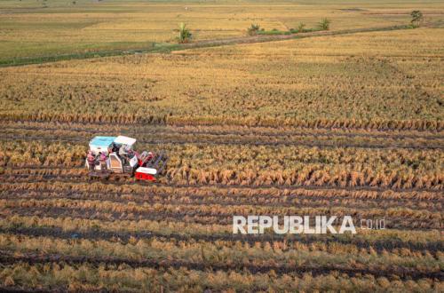 1,297 Merah Putih Cooperative Buildings in Central Java Stand on Protected Rice Fields
