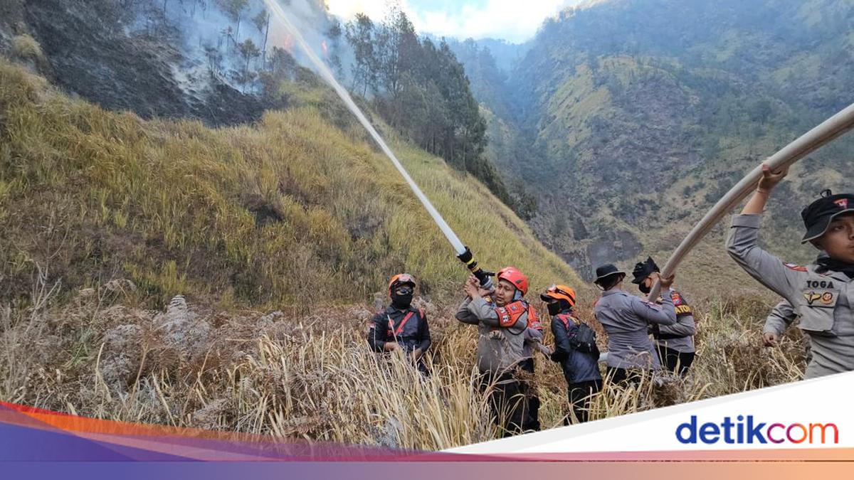 Fire Erupts Along Bromo's JLKT Route, Seruni Point Closed as Precaution