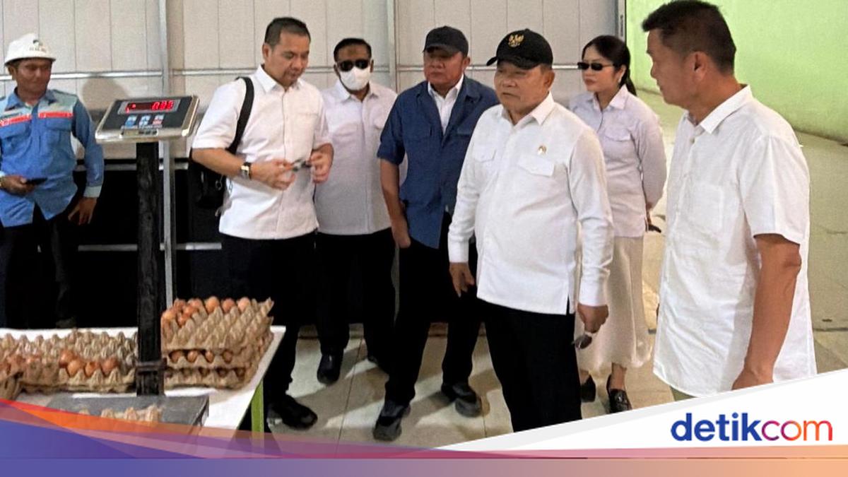 Herman Deru Confirms Egg Supply to Support Free Nutritious Meal Programme in South Sumatra