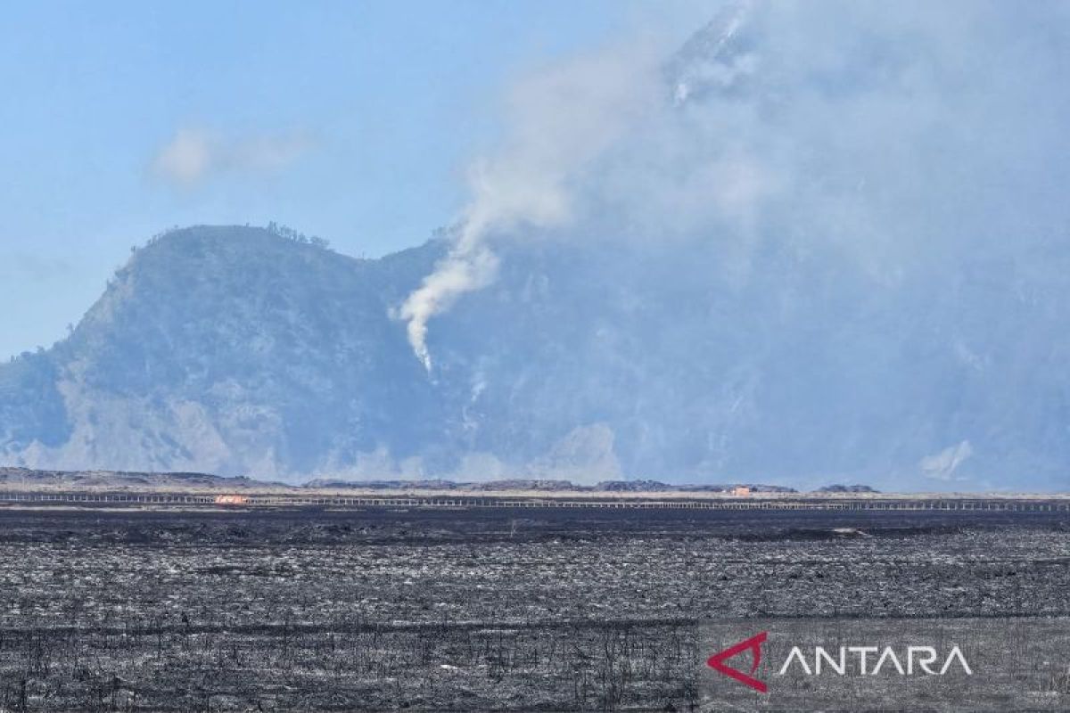 BMKG Warns of Strong El Niño, Raising Forest Fire Risk in East Java