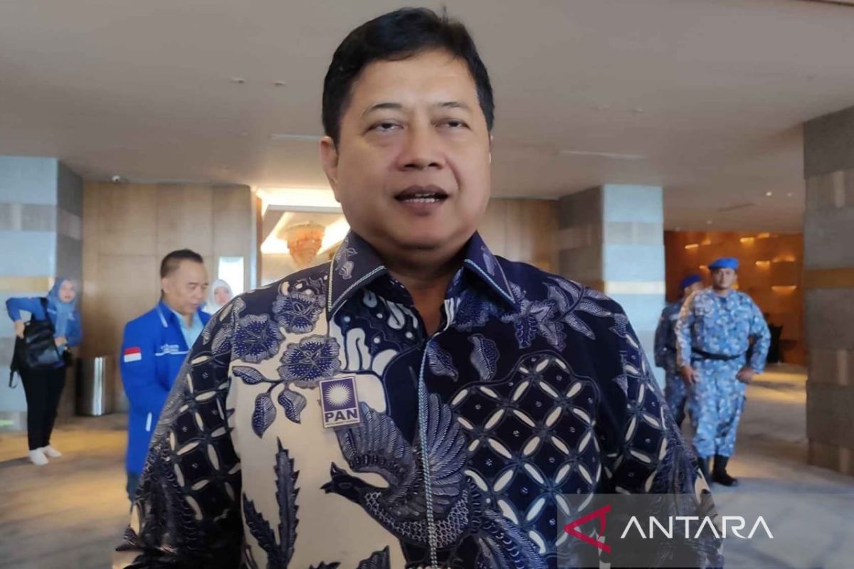 PAN agrees with Megawati that Indonesia does not recognise the term opposition