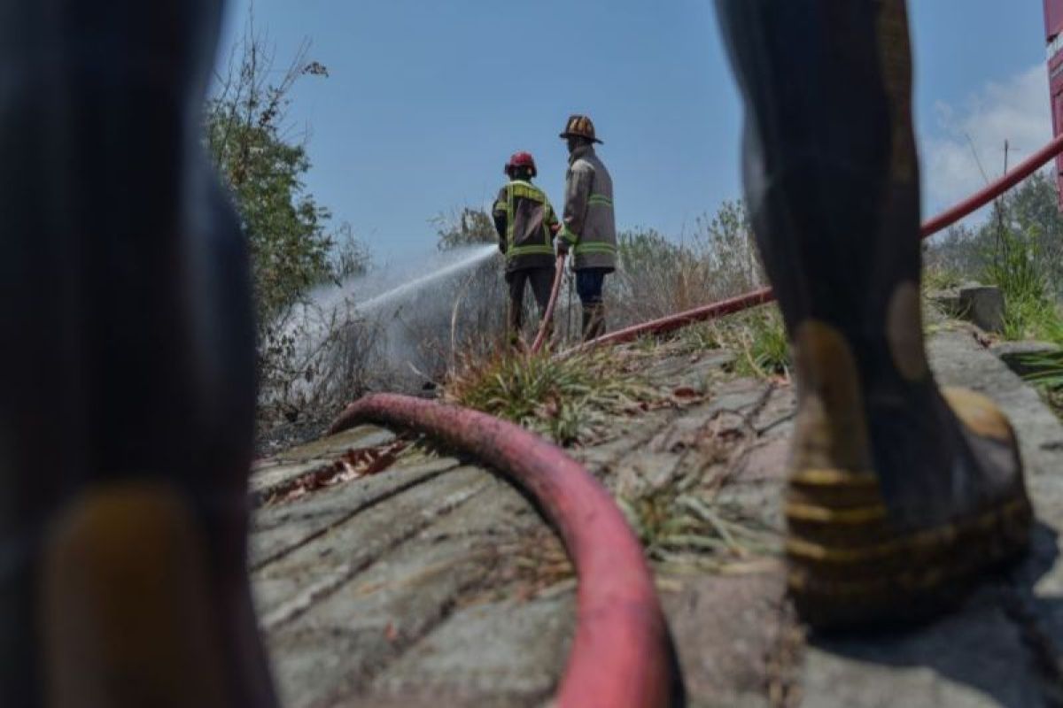 Central Sulawesi Governor Instructs Regional BPBDs to Standby for Forest and Land Fires
