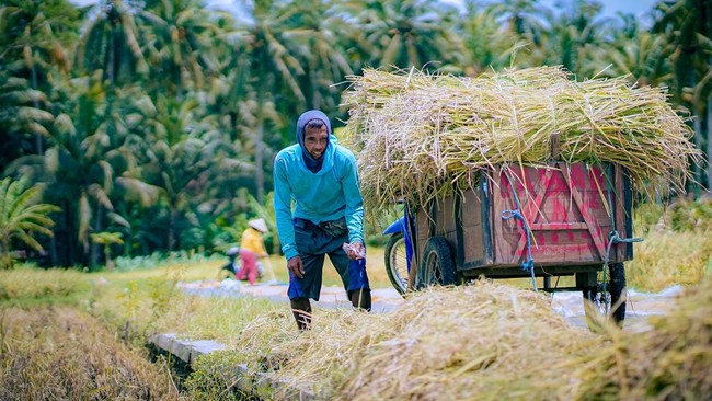 Safeguarding Food Amidst Climate Threats