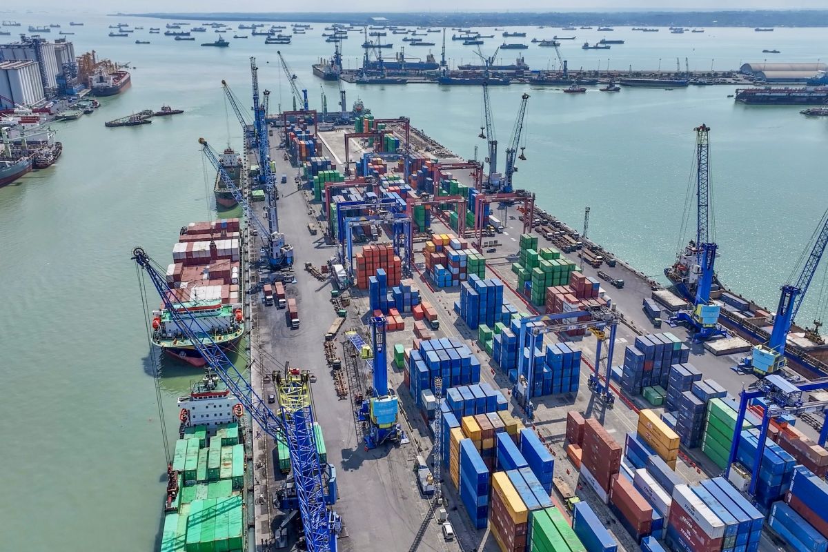 Three-terminal strategy boosts container throughput by 13.3 percent