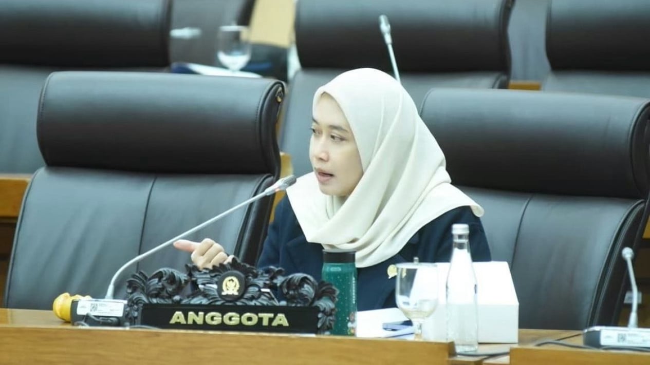 Energy Subsidy Distribution Using NIK: Accurate and Transparent Data Key to Targeted Delivery, Says Lawmaker