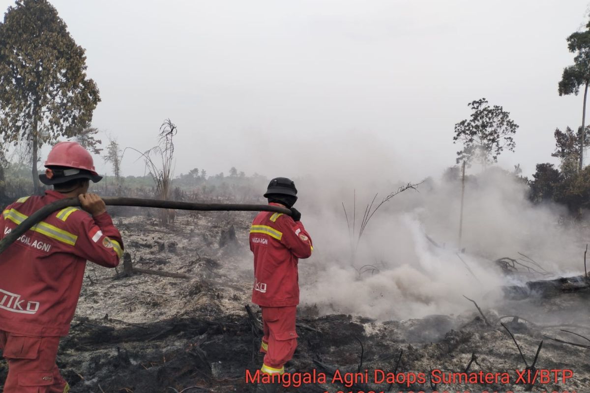 Joint task force battles land and forest fires in Kumpeh, Muaro Jambi