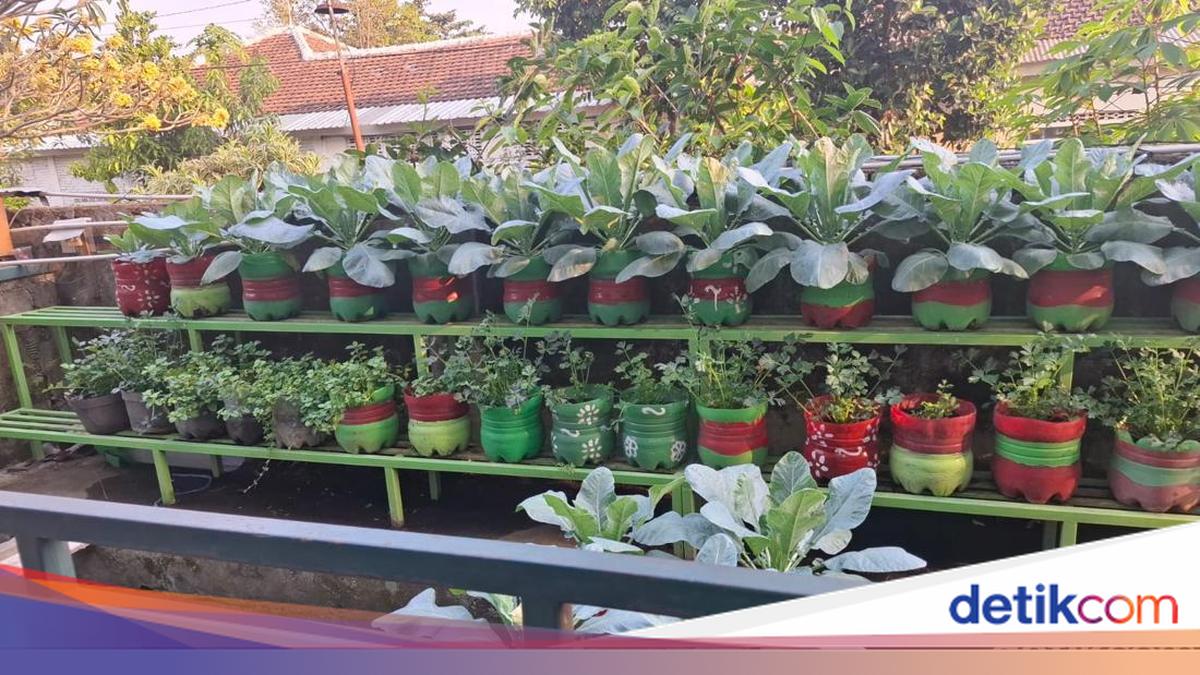 Baciro Residents Transform Alley and Sewer into Organic Vegetable Garden