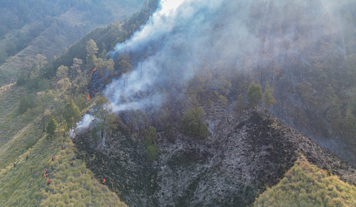 Fire Control Strategy in TNBTS: Early Detection and Geographical Challenges