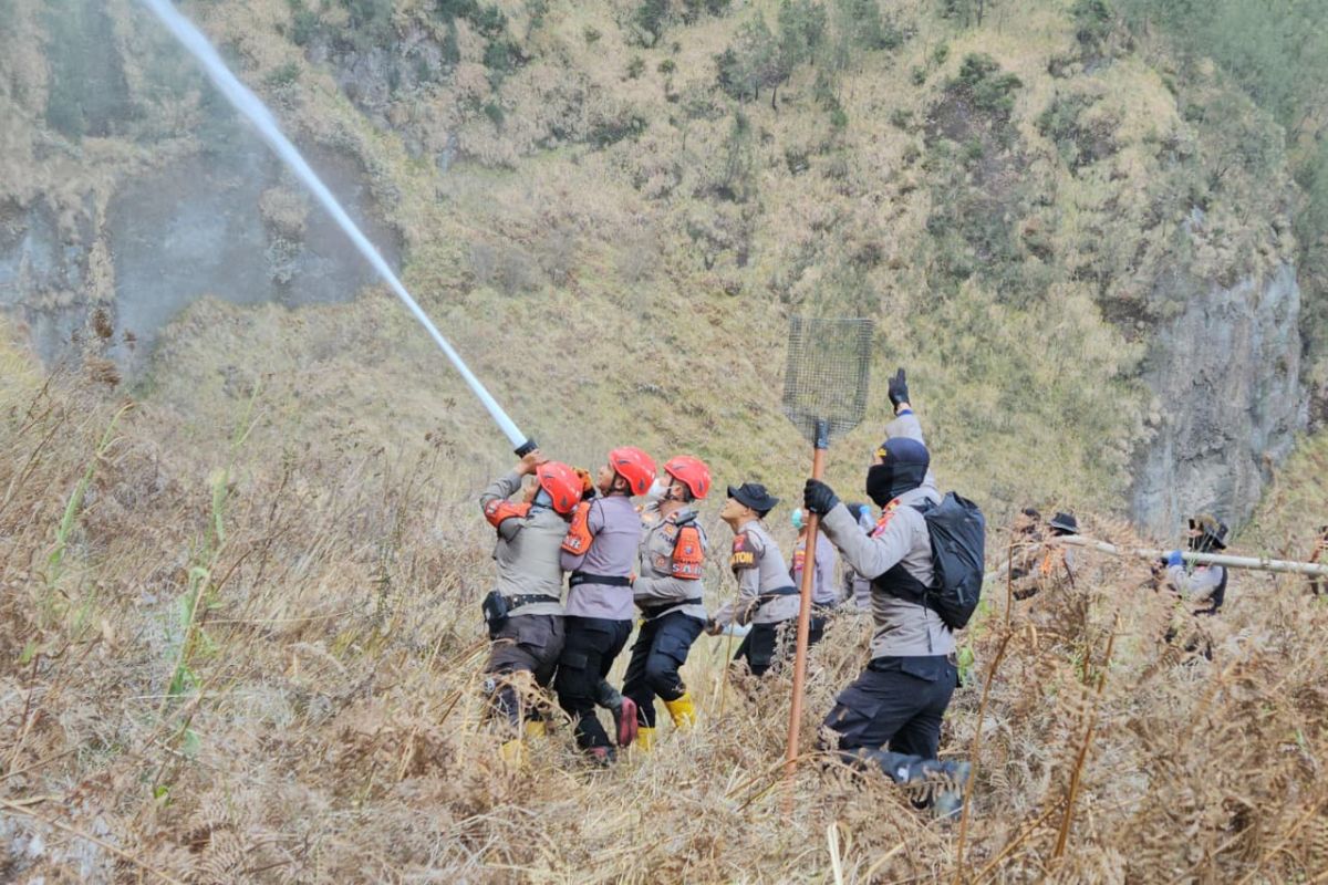 Forest and Land Fires in Bromo Under Control, Says Probolinggo BPBD
