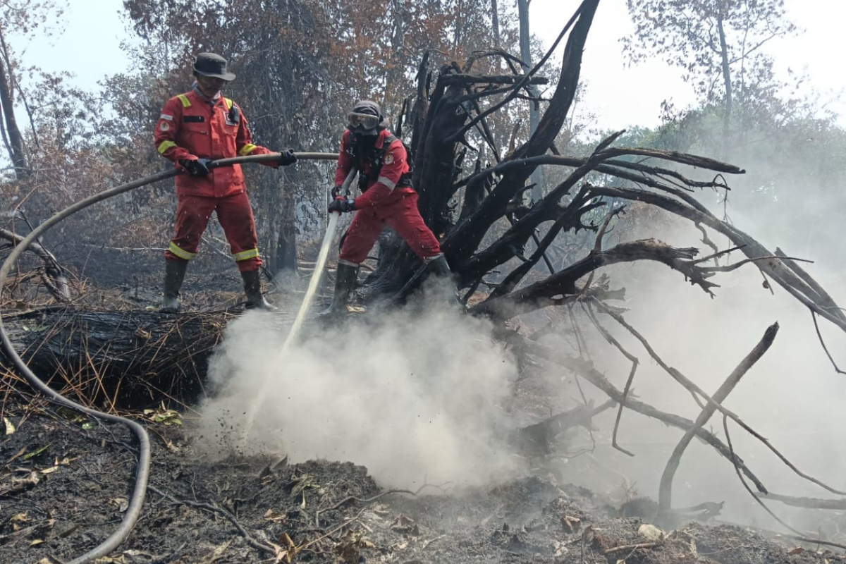 Forest and Land Fire Hotspots in Sumatra Surge to 1,097 Points, Riau Records 158