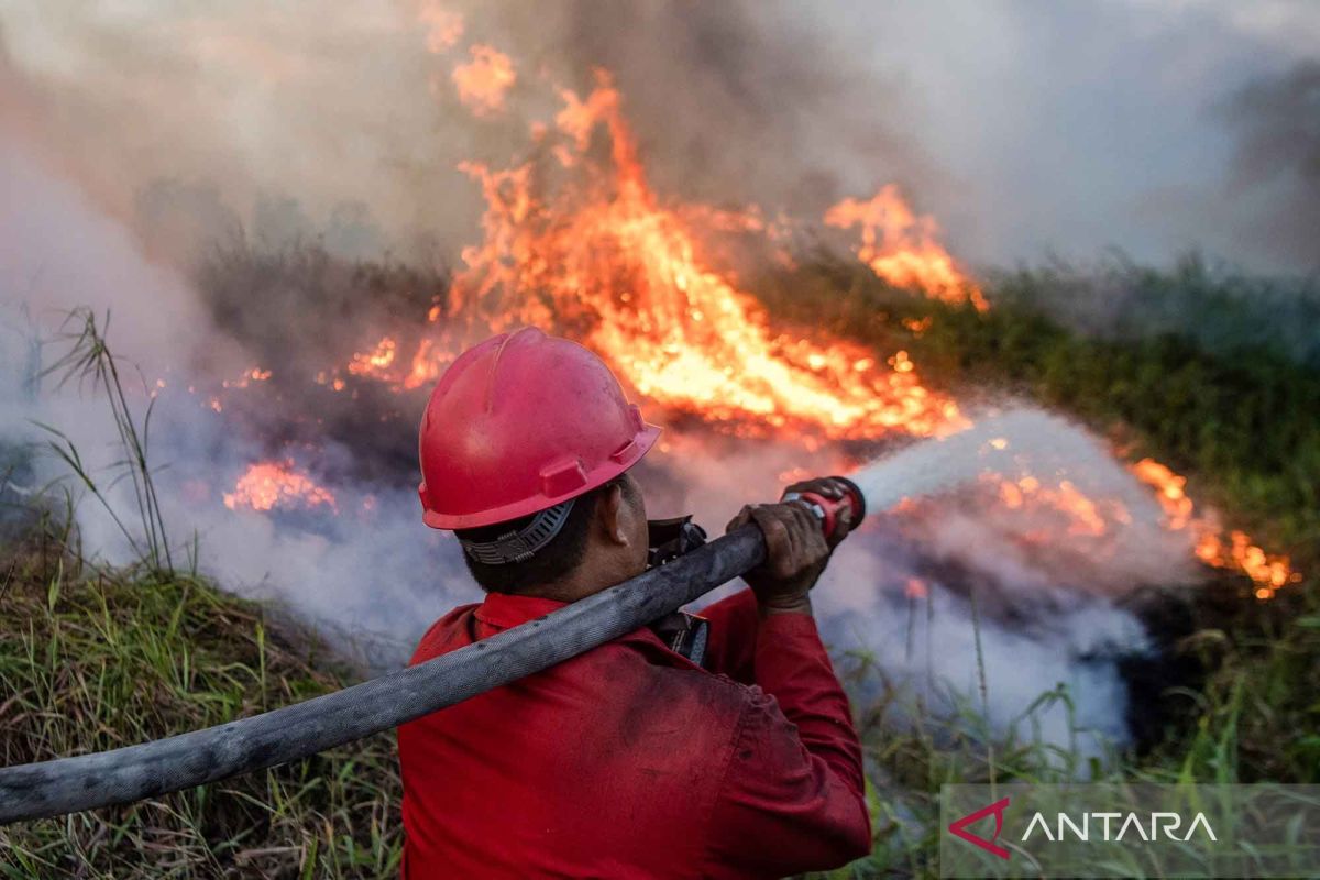 Fire at the doorstep: Time to shift from emergency response to governance
