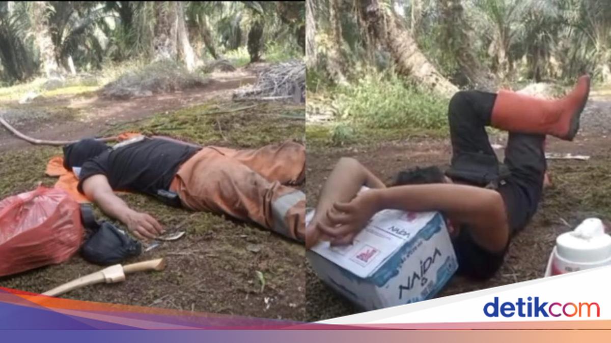 The Struggle of Firefighters Taming Forest Fires in Central Kalimantan, Sleeping on Bare Ground