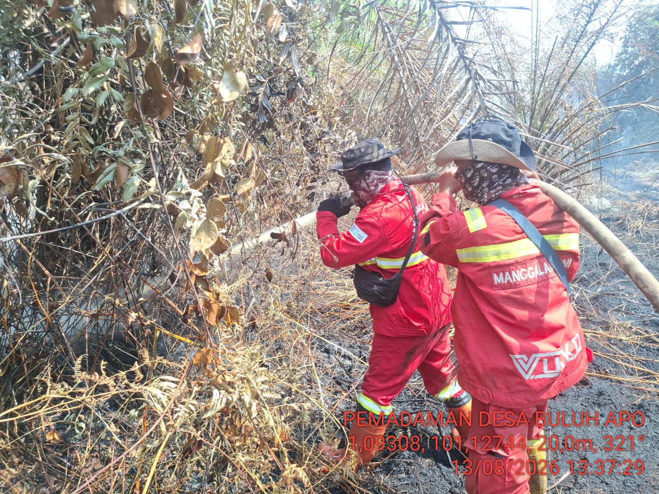 Six Forest and Land Fires Still Blazing Across Four Regencies in Riau
