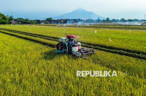 El Nino Strengthens, Testing Indonesia's Food Security