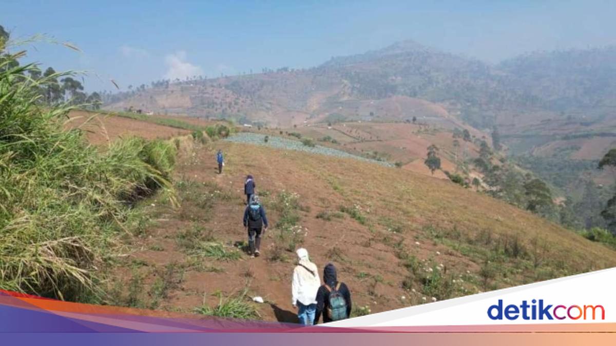 West Java Provincial Government Strengthens Forest Fire Prevention Measures During Dry Season