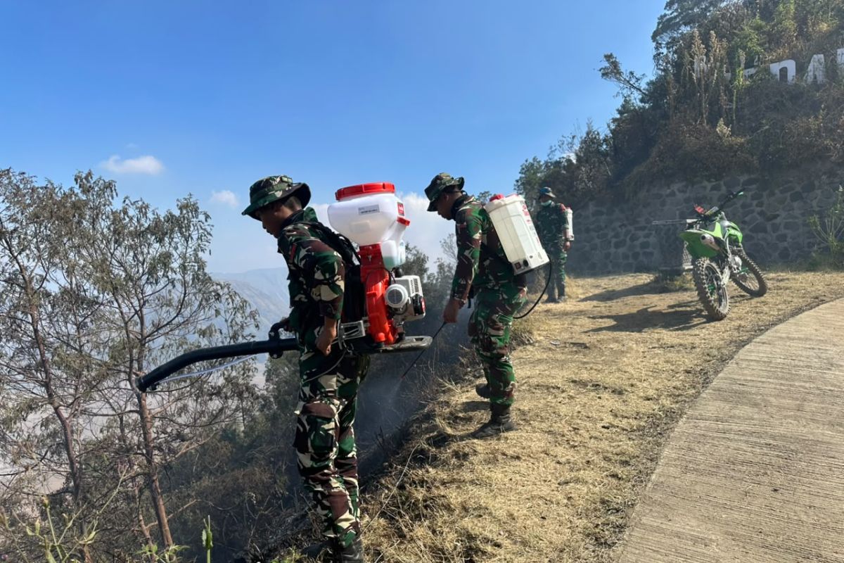 Indonesia cools 8 hotspots in Mount Bromo after active fires put out