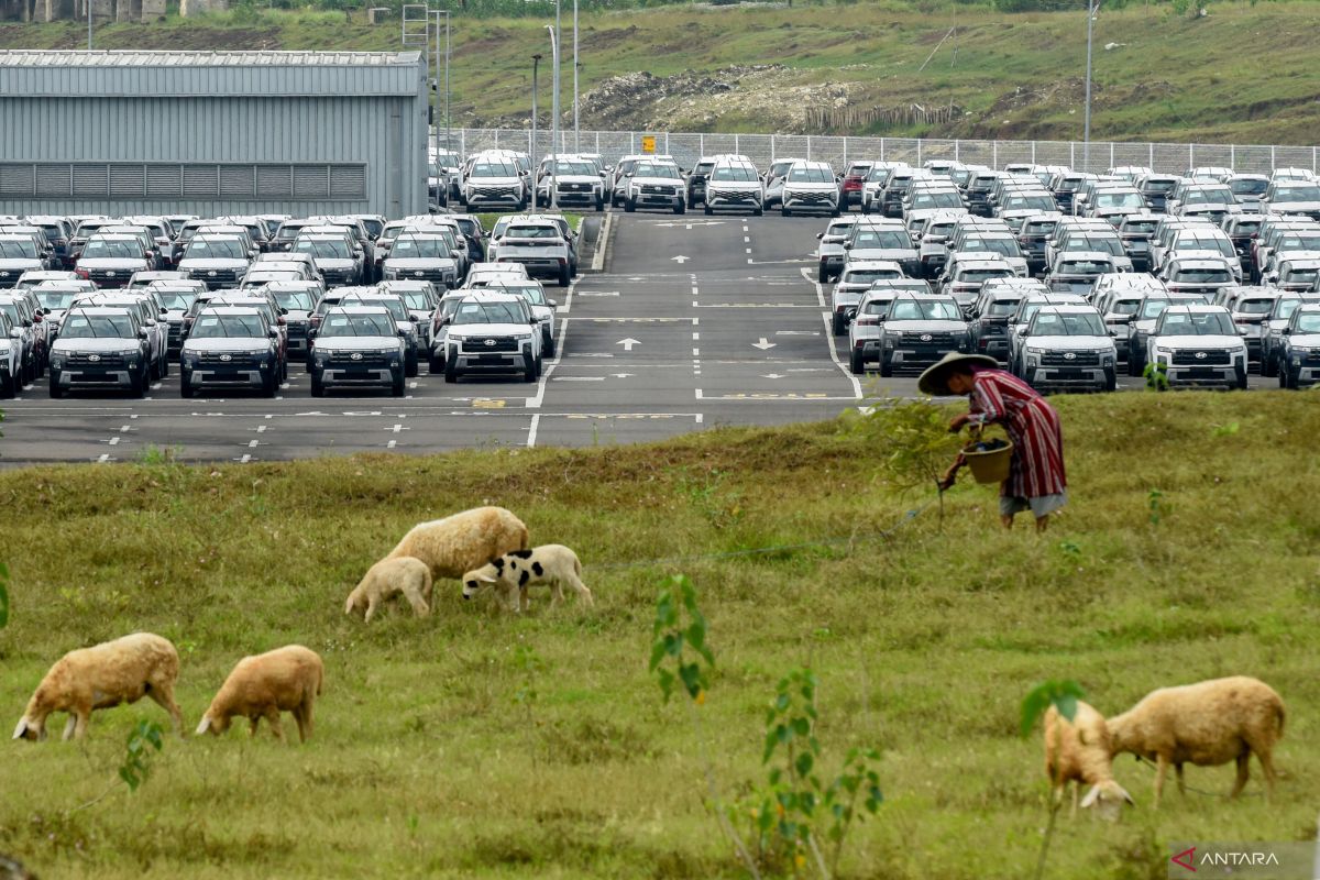 Observer: National vehicle realisation requires thorough preparation