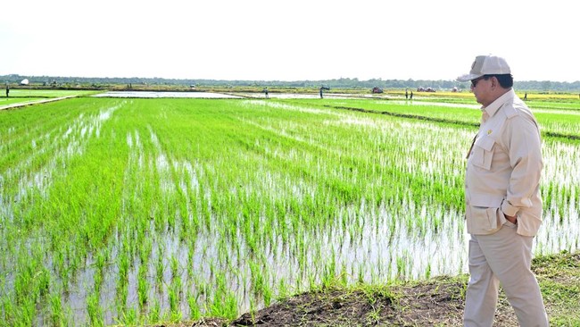 Prabowo Allocates Rp195.3 Trillion for Food Security, Highest in Five Years
