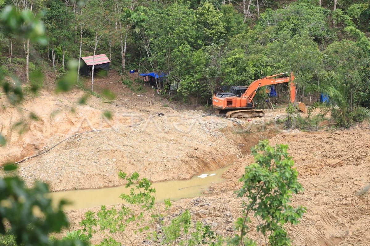 Environmental Organisation Optimistic Government Will Resolve Illegal Mining Cases