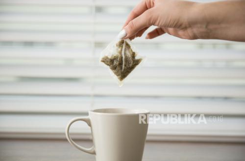 Study Reveals Microplastic Exposure Can Worsen Liver Damage, Especially with High-Fat Diet