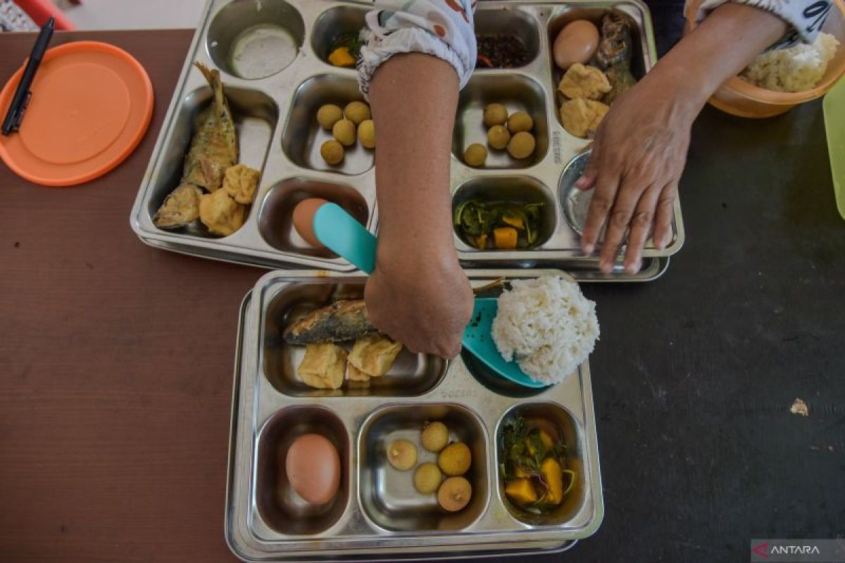 Free Nutritious Meals for Pregnant Women Can Be Key Intervention to Prevent Stunting: PDGKI