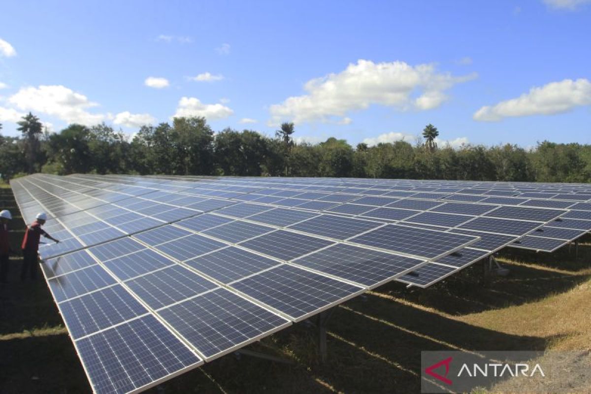 IESR: Solar Power Plant Development a Strategic Step for Energy Independence