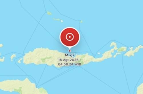 M7.7 Nagekeo Earthquake: One Dead in Maumere Building Collapse