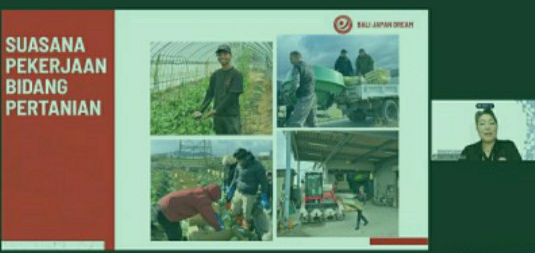 Indonesian Technical Workers Begin Filling High-Tech Agricultural Sector in Japan