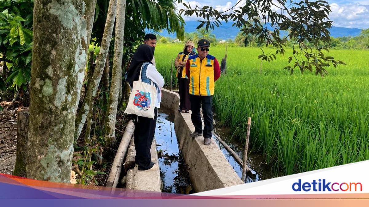 Planting Season Arrives, Nagan Raya Utilises TKD Funds for Paddy Field Rehabilitation