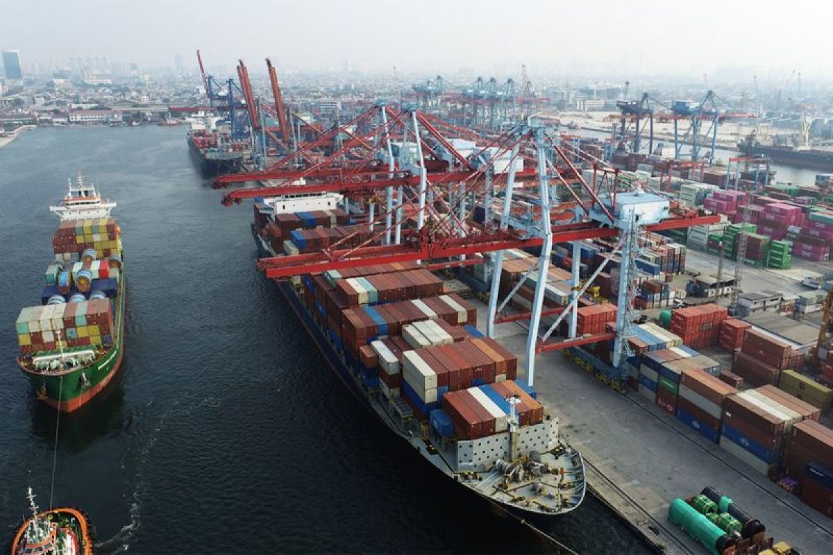 IPC TPK: Container throughput reaches 2.17 million TEUs up to July, up 8 percent