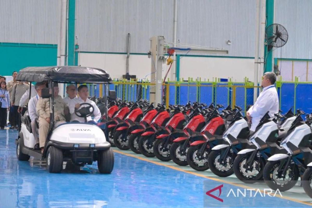 INDEF recommends aligning regulations to support national vehicle production