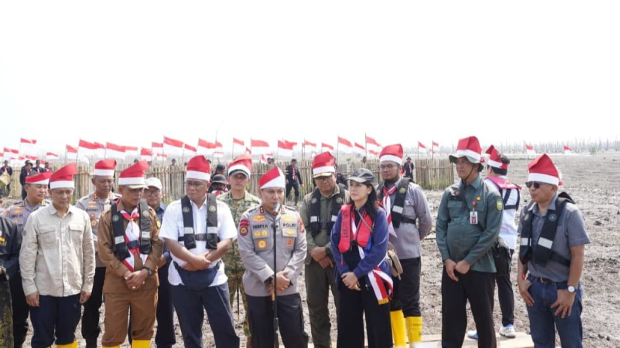 Abrasion Erodes 1,700 Hectares of Residents' Plantations in Indragiri Hilir, Government Prepares 500 Hectares of Mangrove Rehabilitation