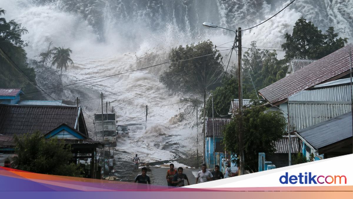 10 Regions Affected by Tsunami After Nagekeo Earthquake, Including 3 Areas in Sulawesi