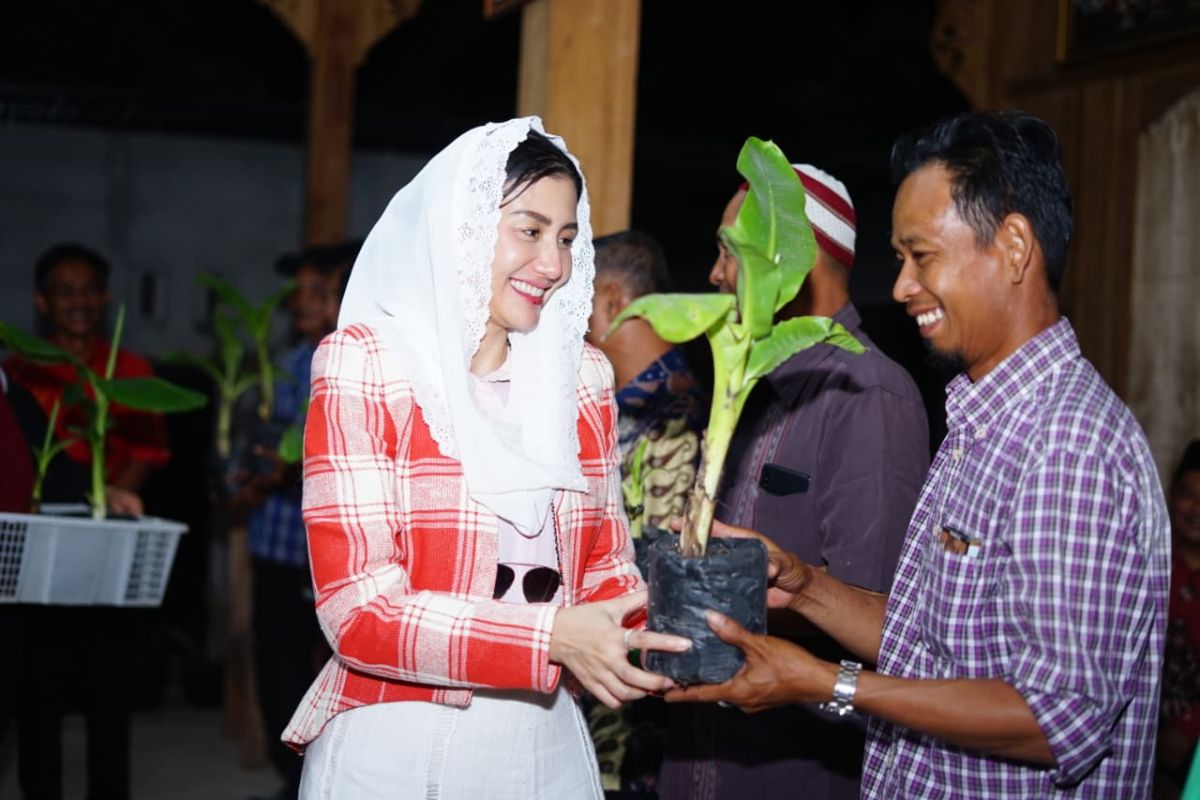 House member pushes cavendish banana as economic driver for Ponorogo
