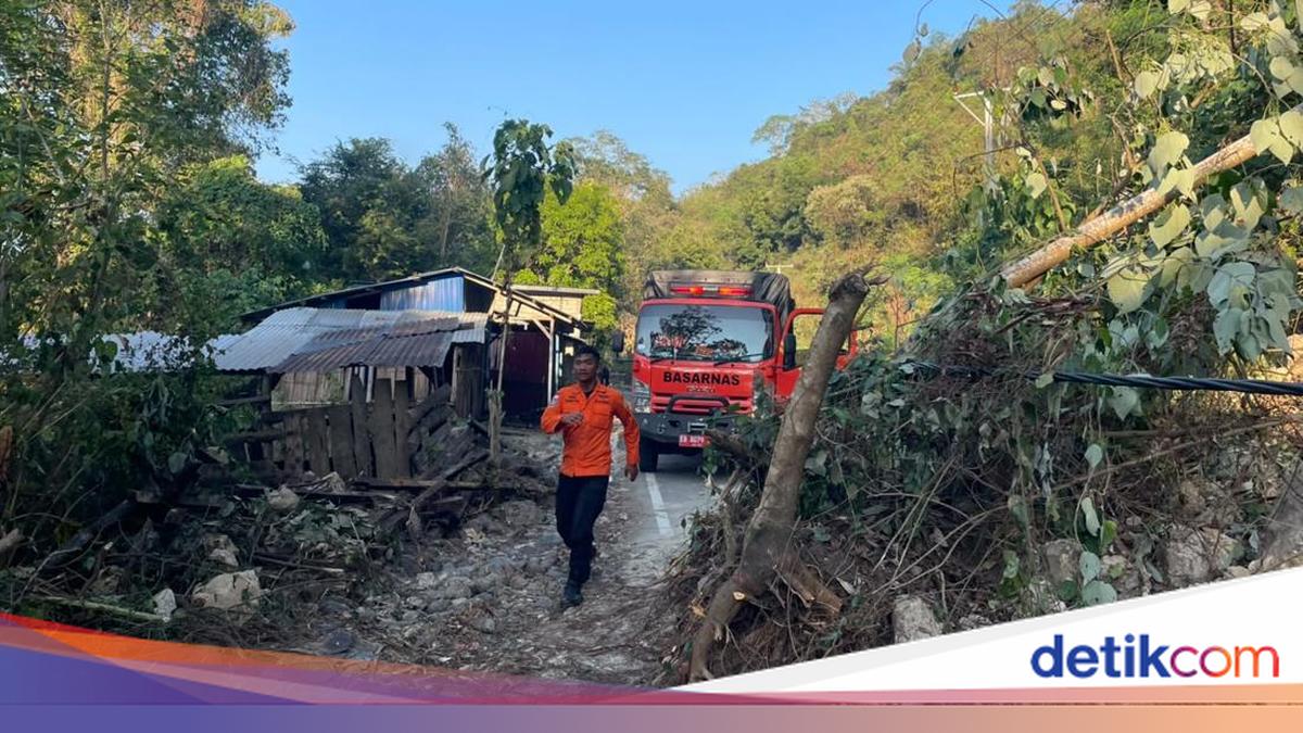 SAR Maumere Records Earthquake Death Toll at 48, Aftershocks Still Felt