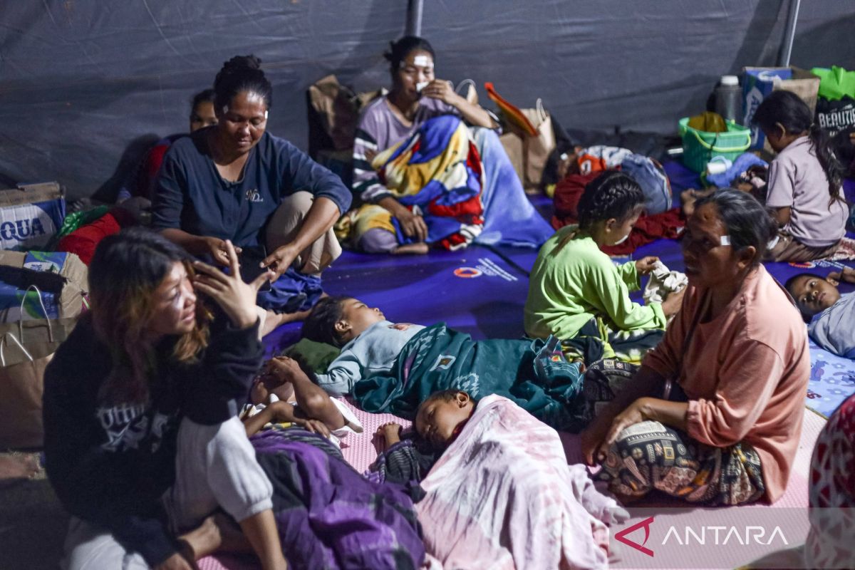 Bulog distributes rice, cooking oil to NTT earthquake victims