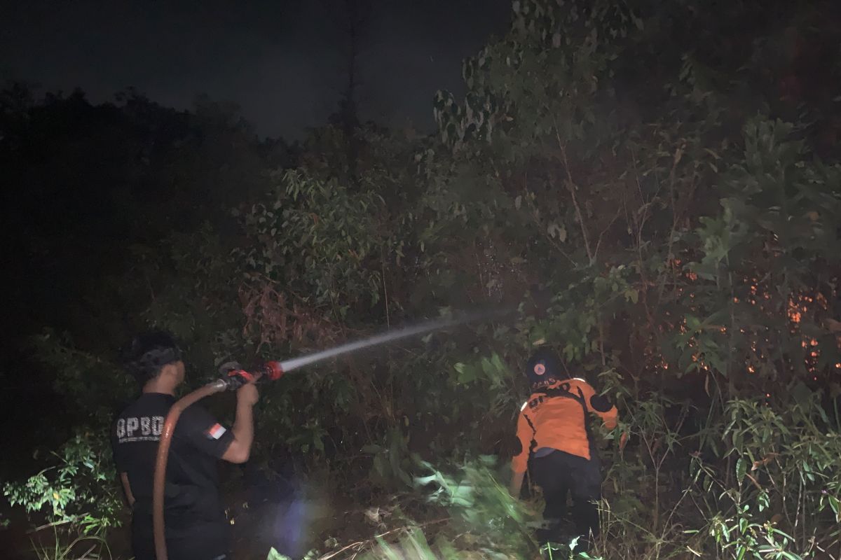Forest and Land Fire Task Force extinguishes fires in Muara Enim