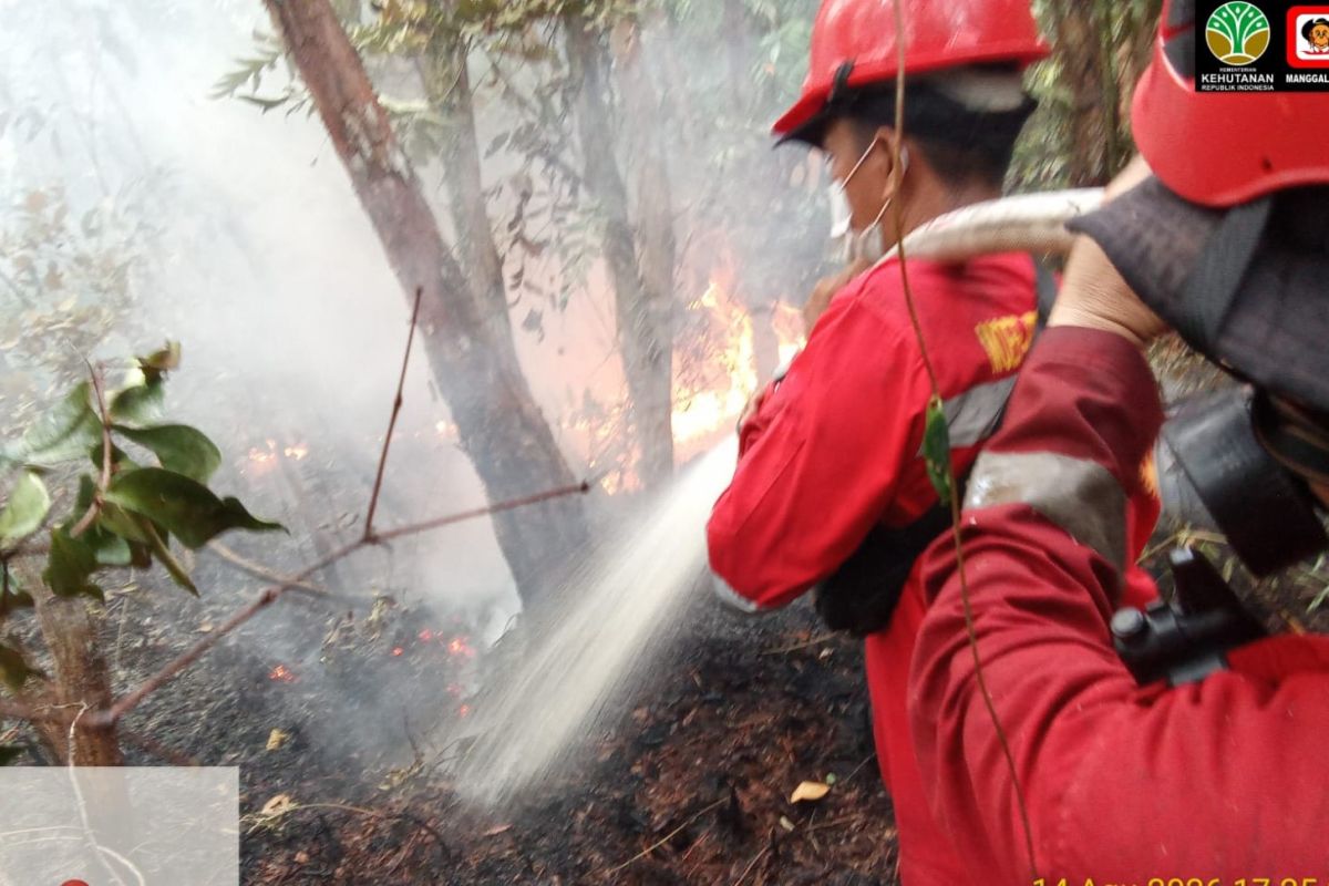Manggala Agni Sumatra successfully extinguishes forest fires in Bangka protected forest