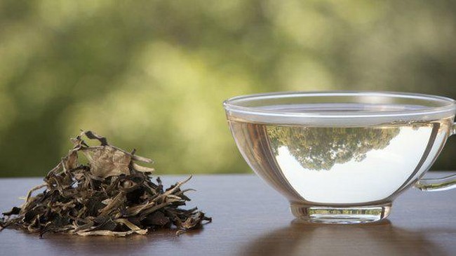 China Controls Half of World Tea Production, Where Does Indonesia Stand?