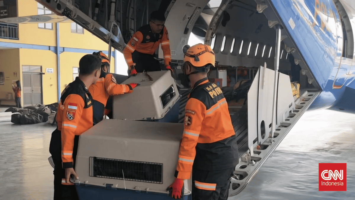 National Police Deploy Aircraft, Helicopters, and Sniffer Dogs to NTT