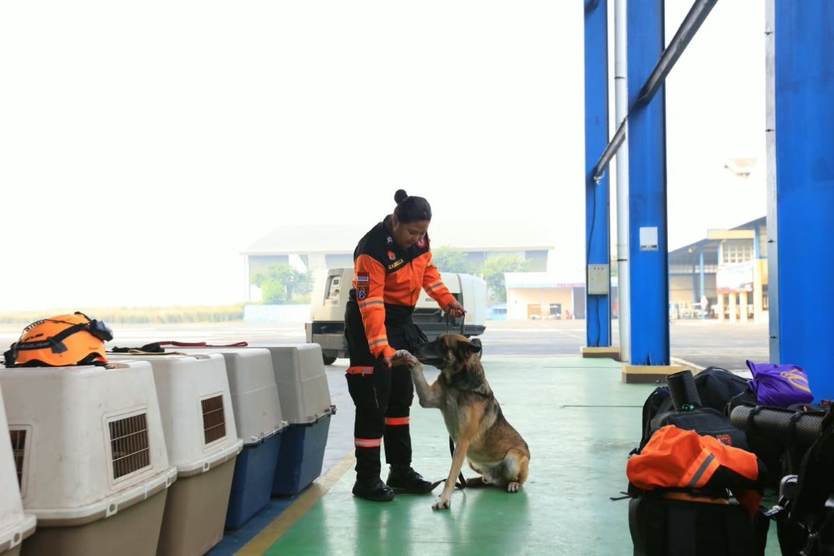NTT quake: National Police deploy K-9 unit, SAR team