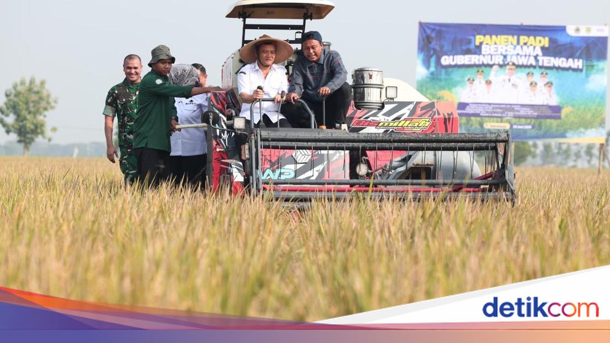 Central Java Government Supports National Food Security: Achievements at 81st Anniversary