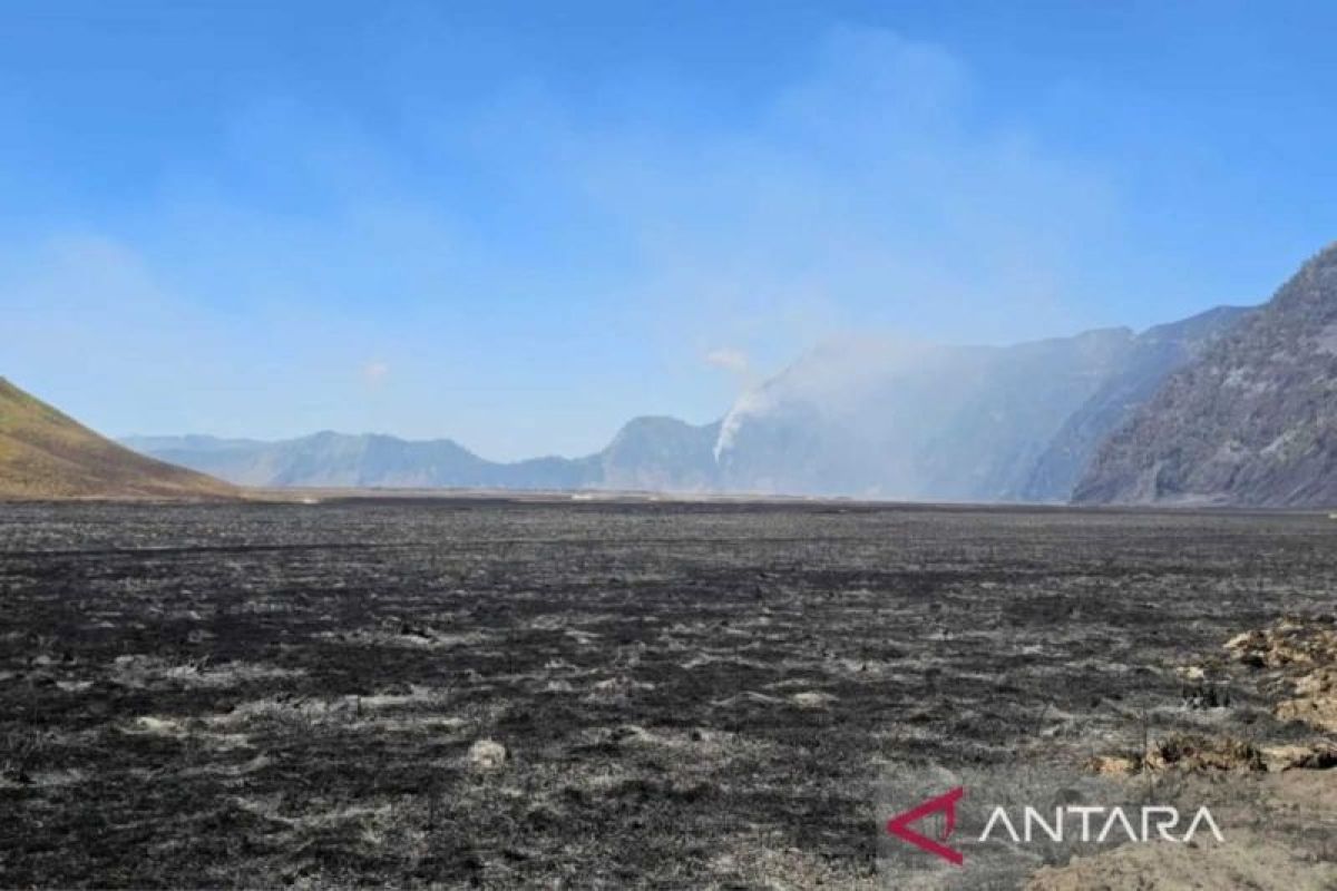 Joint team on standby to anticipate new smoke points at Mount Bromo