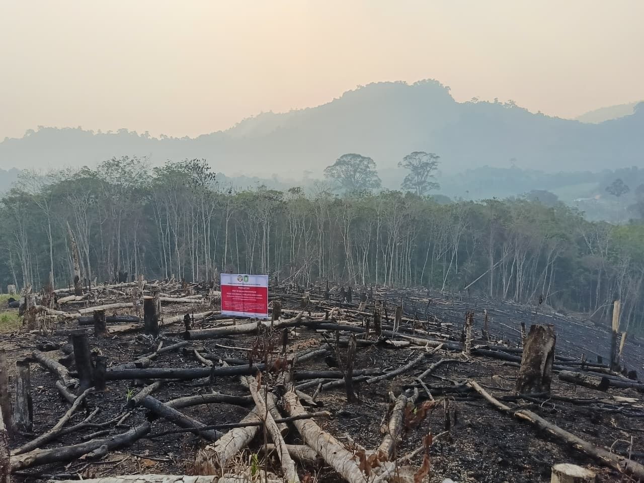 Four Forestry Companies in West Kalimantan Inspected for Forest Fire Preparedness
