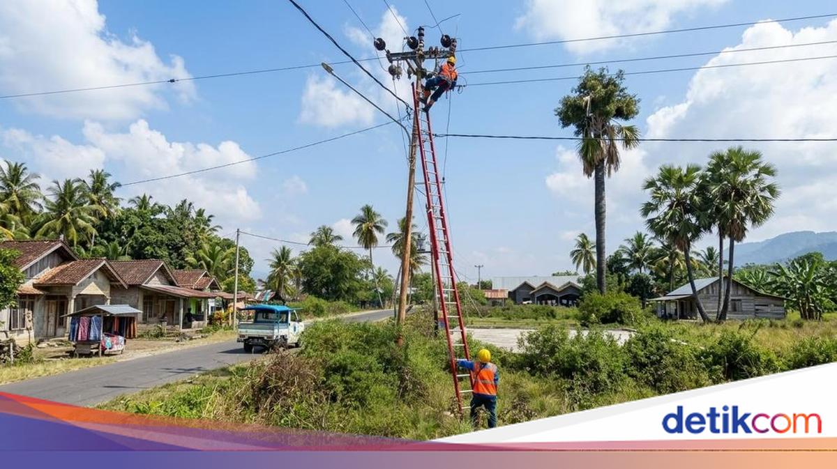 One Undersea Fibre Optic Cable Severed by Flores Earthquake