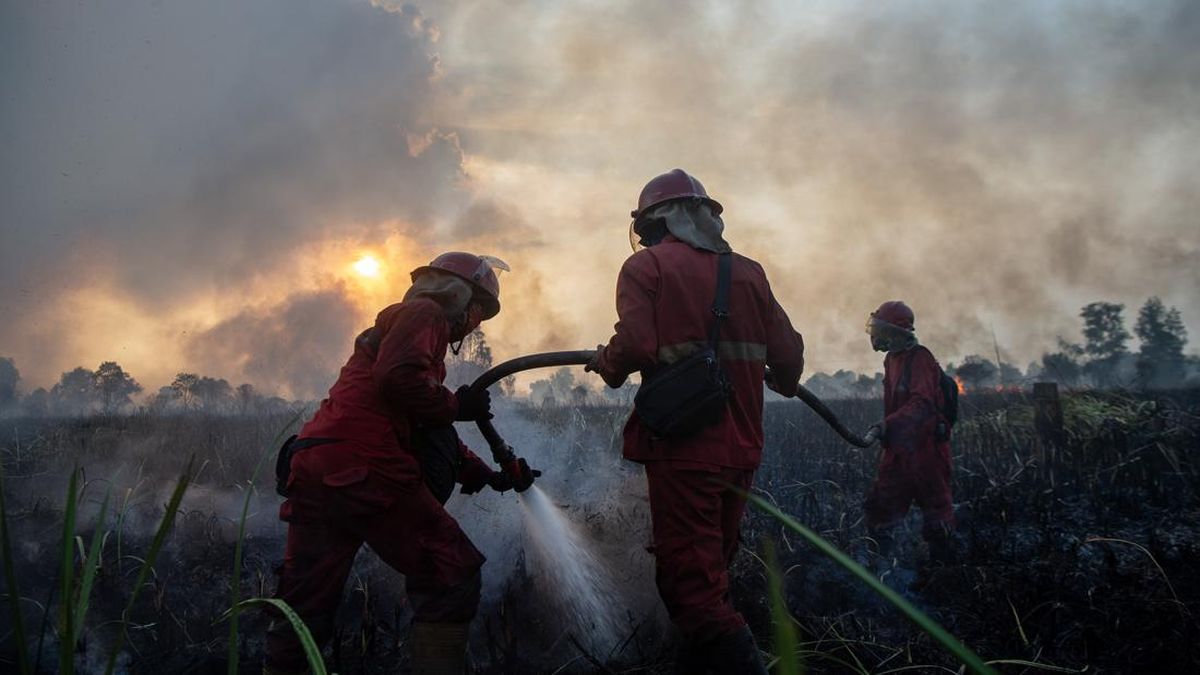 Anticipating Forest and Land Fires, Ministry of Forestry Detects 73 Hotspots in South Kalimantan