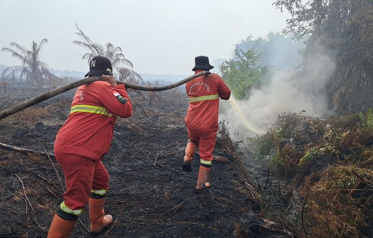Peatland Fires in Four Riau Regencies Still Raging