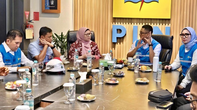 PLN CEO Inspects Electricity Reliability at Palace for 81st Independence Day